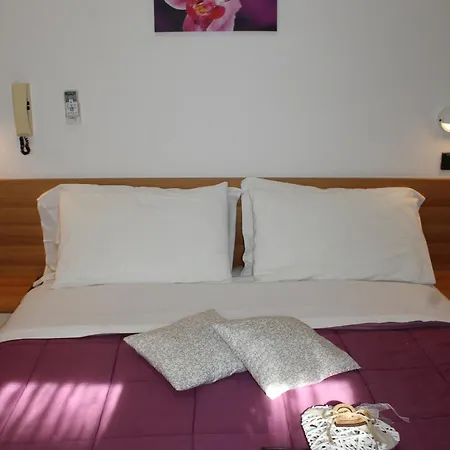 苏里高酒店 里米尼