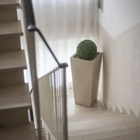 苏里高酒店 3* 里米尼