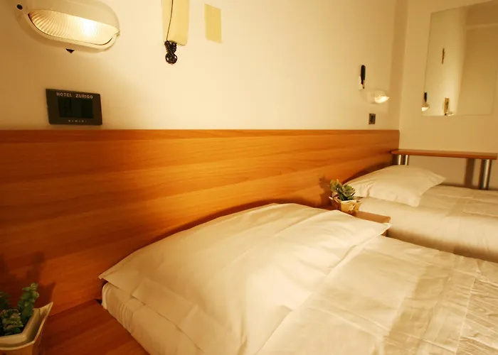 Zurigo Otel Rimini